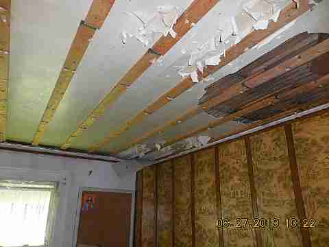 1085 Patricia (17)_m.jpg